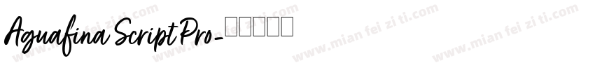 Aguafina Script Pro字体转换